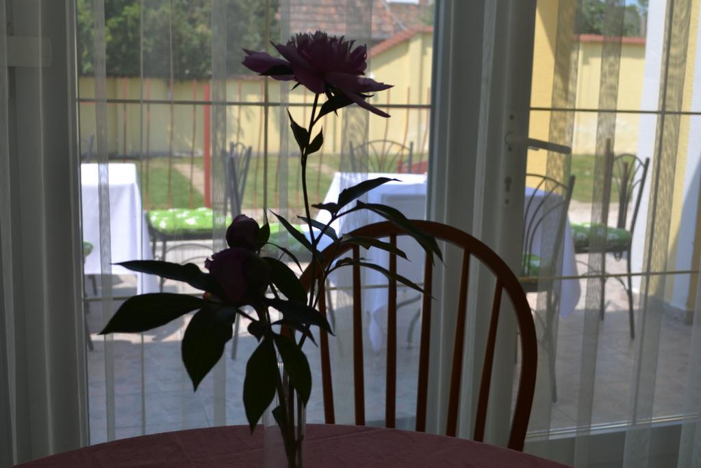 Kiskut Liget Pension Győr Extérieur photo
